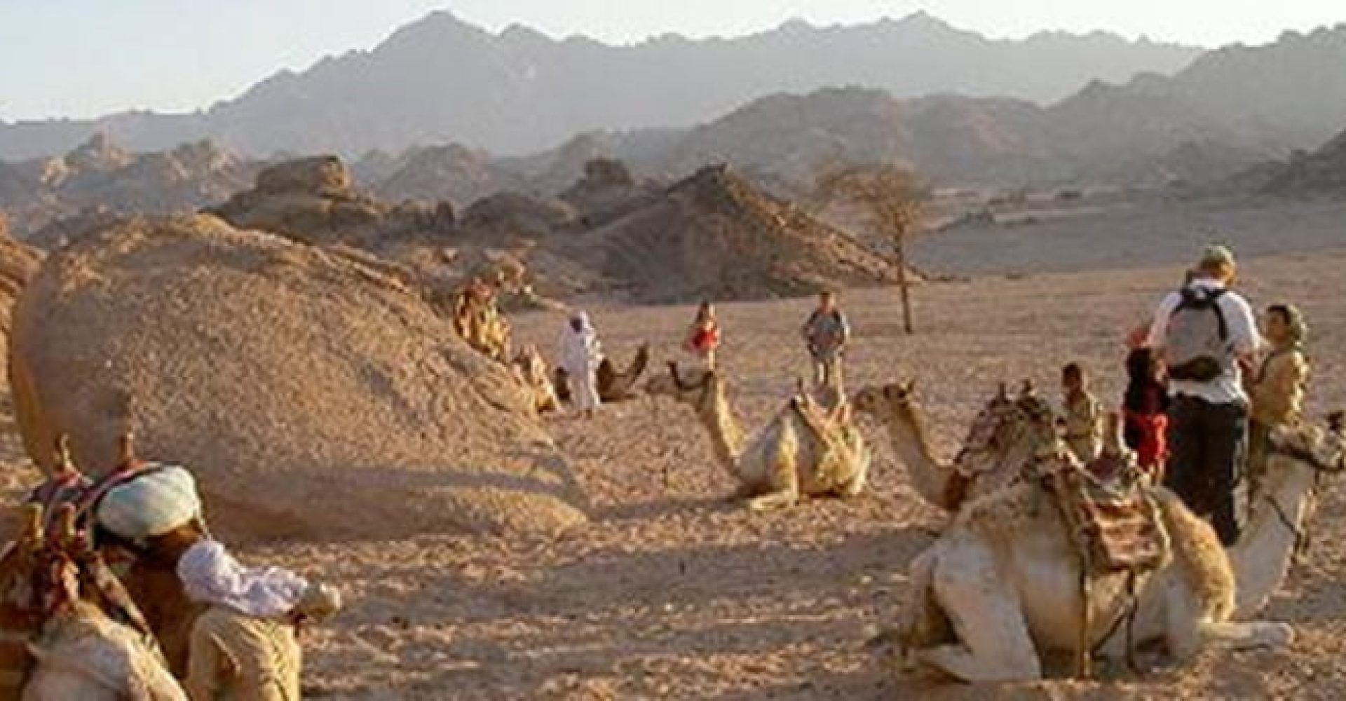 4 In 1 Quad Runner-SSH-002