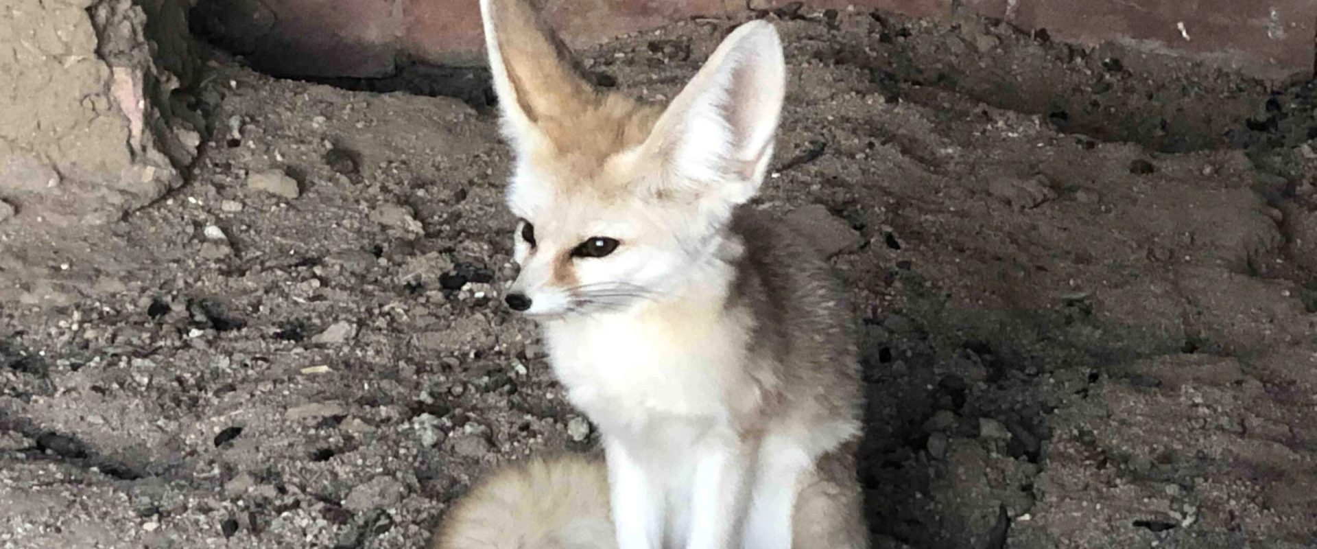 4790b857db4a774acbdbfc21fe7c57d7