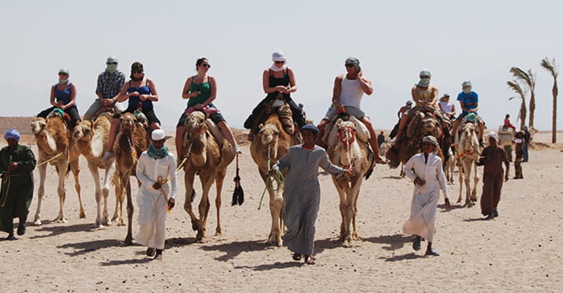 Badaweya Morning Trip 1