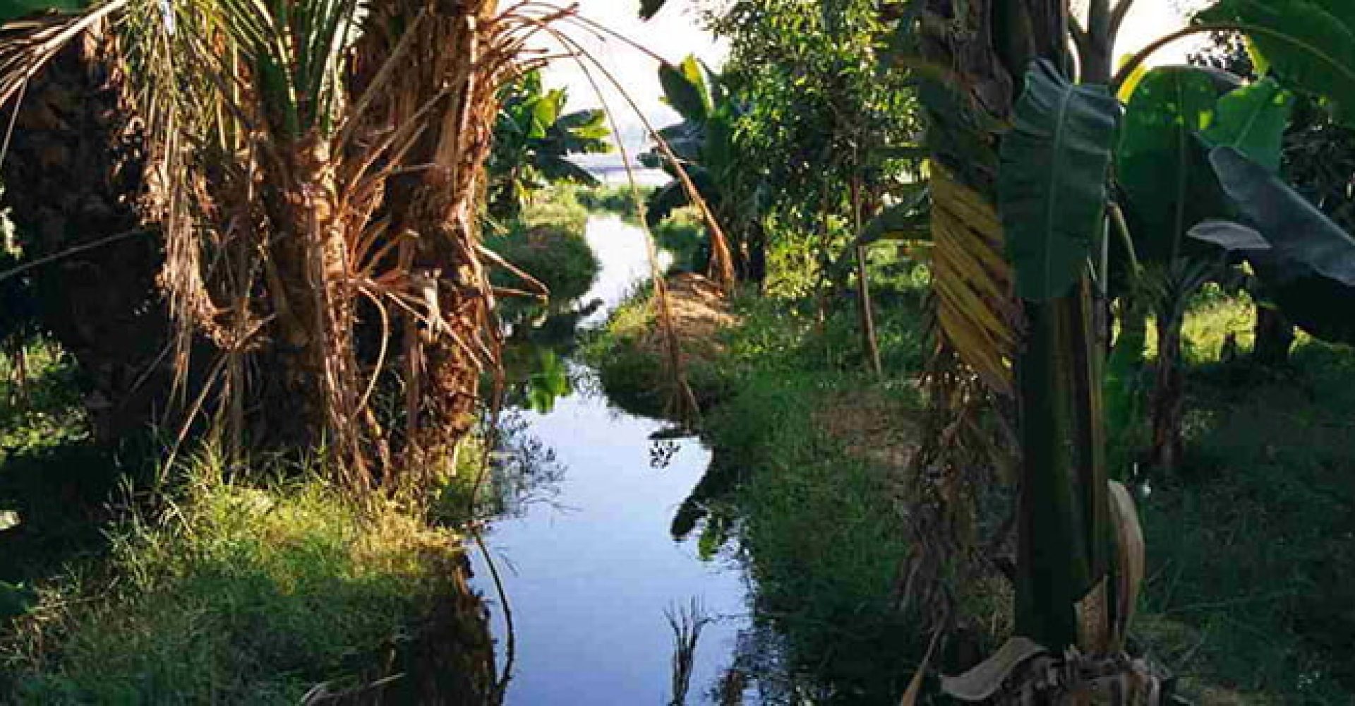 Banana Island By Felucca Or Motor Boat 2