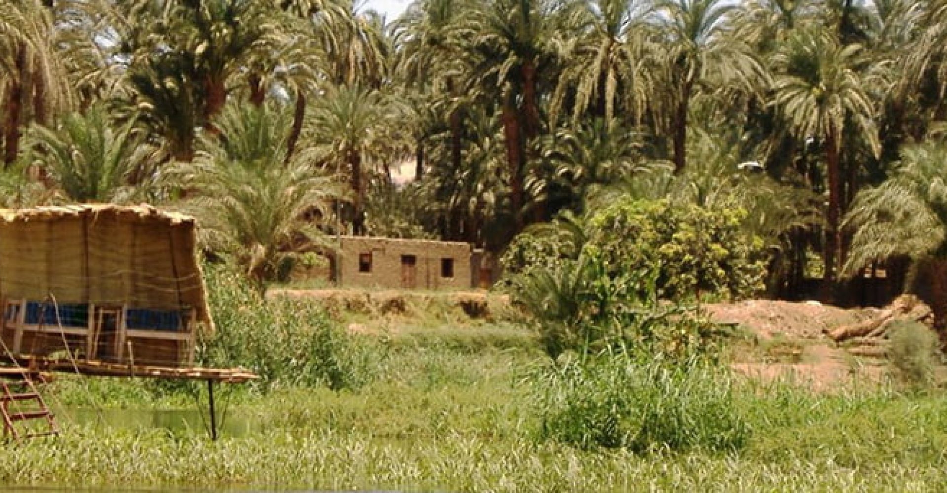 Banana Island By Felucca Or Motor Boat 3