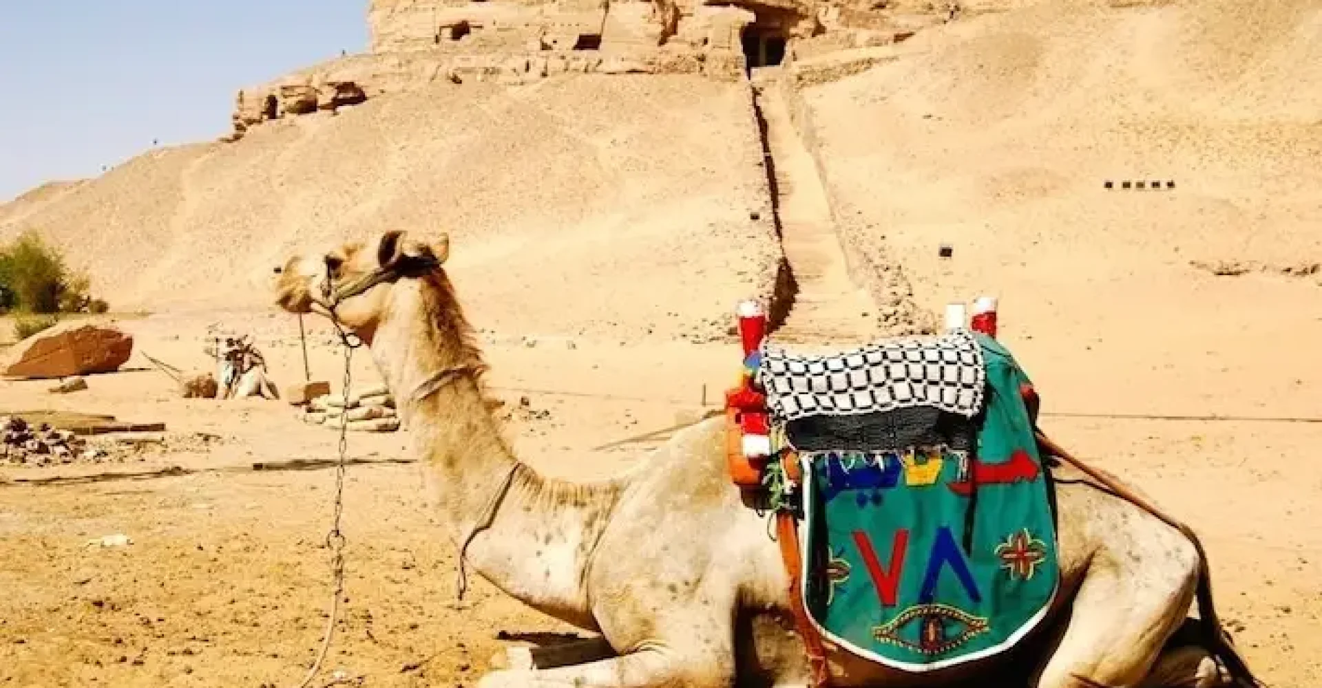 Camel-waiting-for-tourist-at-the-Monastery-of-Saint-Simeon