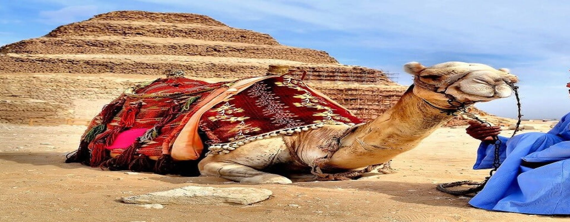 Egypt-Cairo-Camel-and-Egyptian-Man-Step-Pyramid