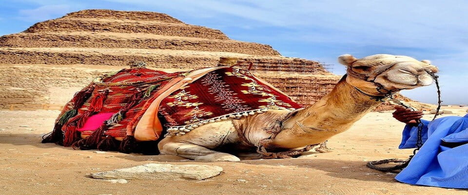 Egypt-Cairo-Camel-and-Egyptian-Man-Step-Pyramid