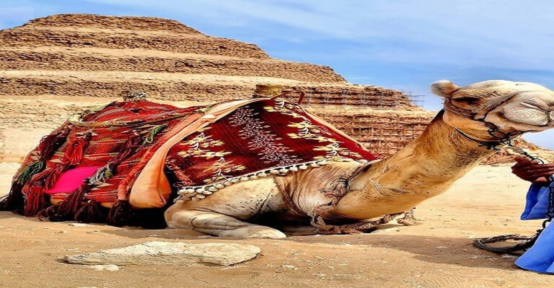 Egypt-Cairo-Camel-and-Egyptian-Man-Step-Pyramid