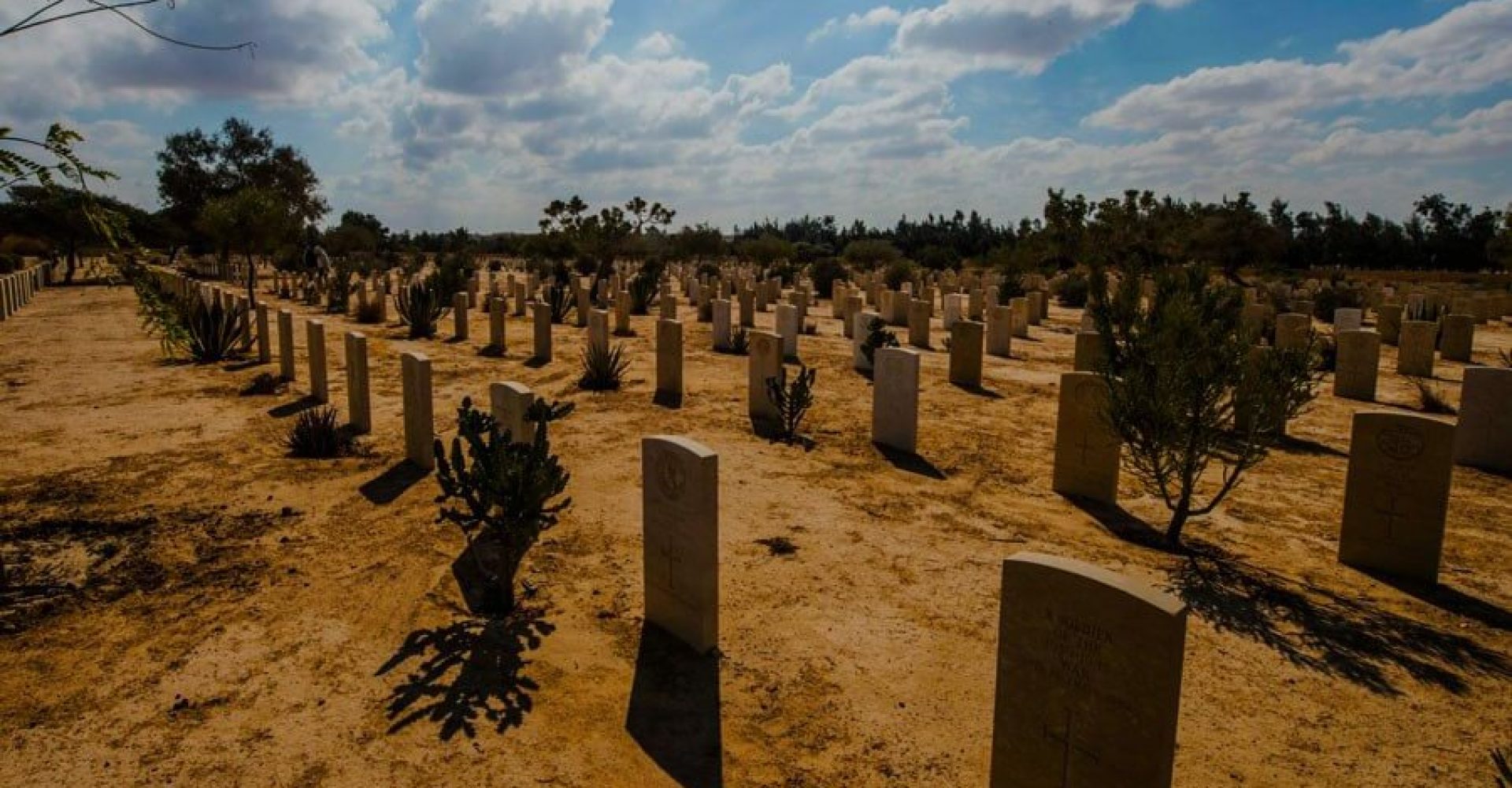 El Alamein Day Tour From Alexandria 2