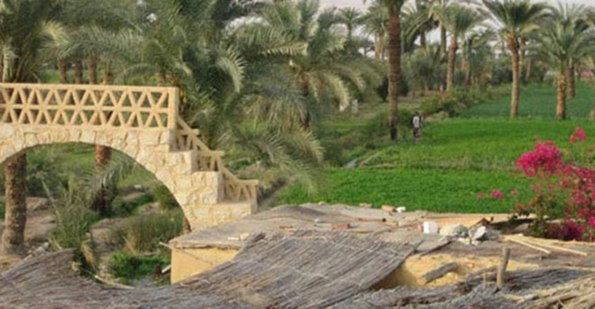 Fayoum001
