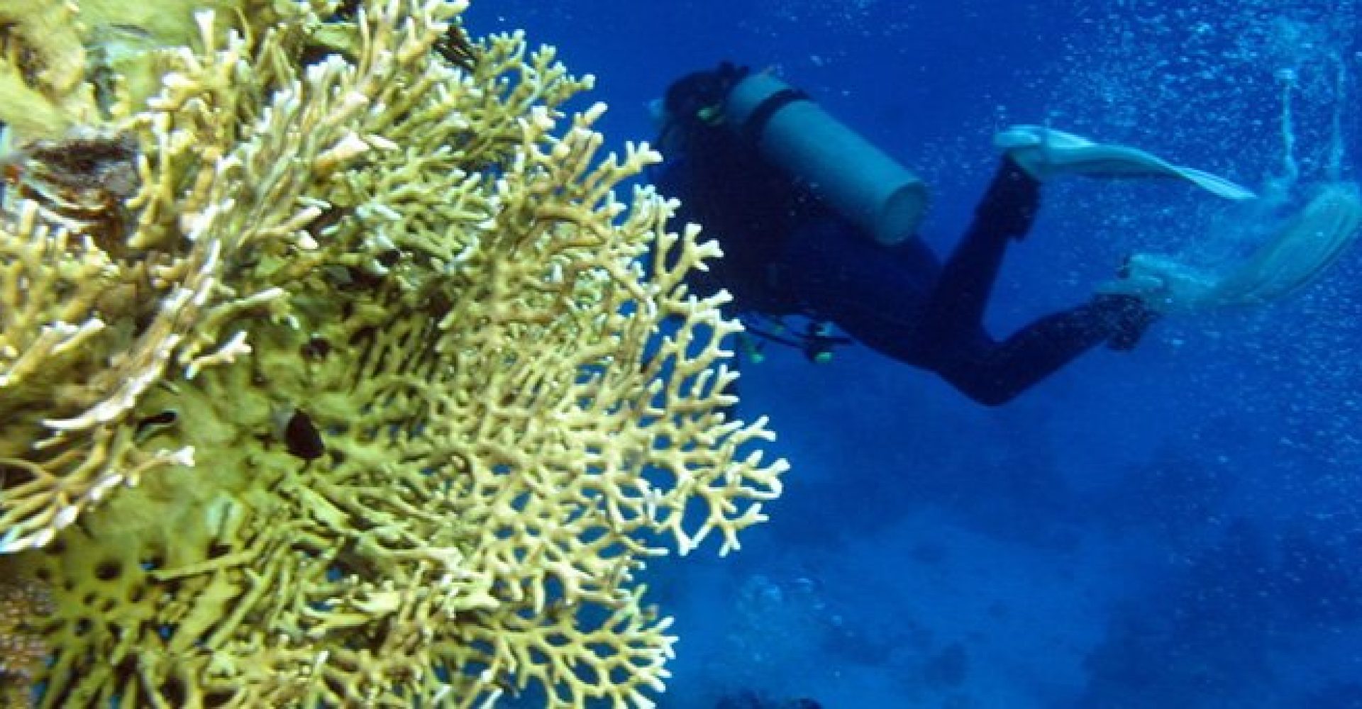 Half Day Abu Dabab Beach 2