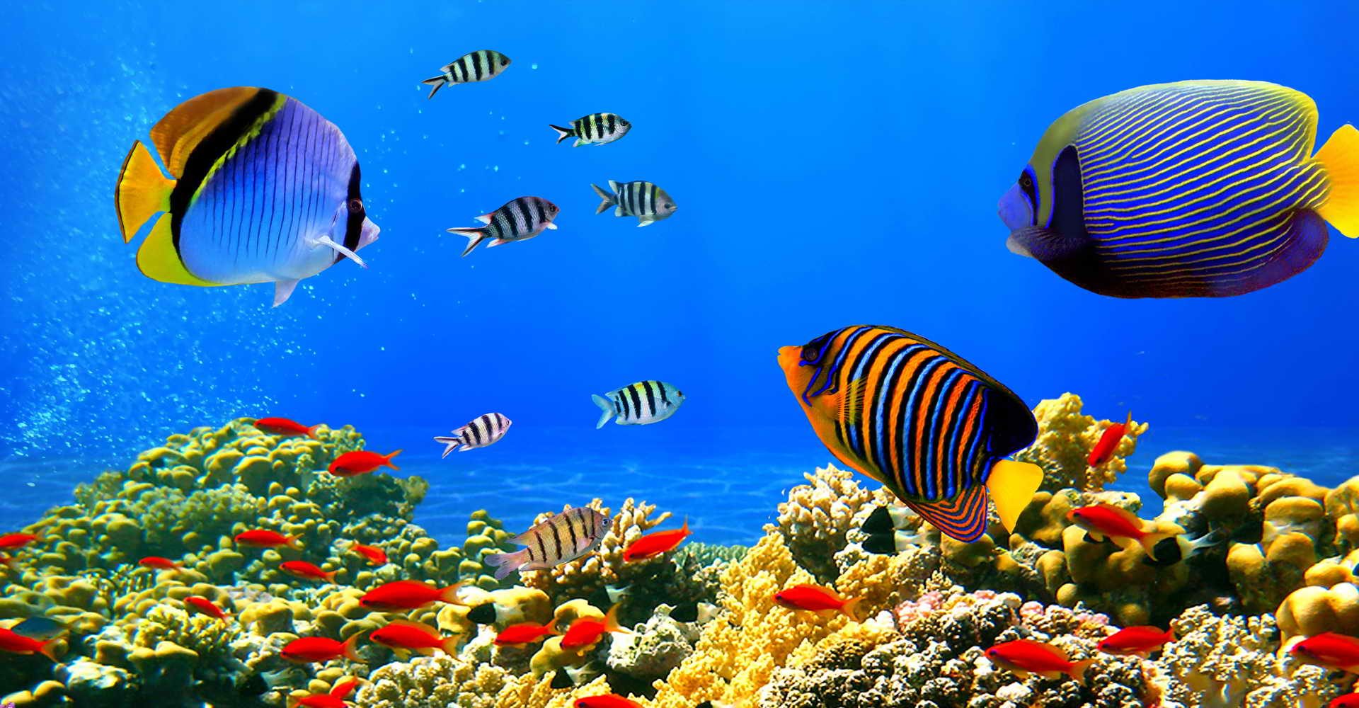 Half Day Abu Dabab Beach 3