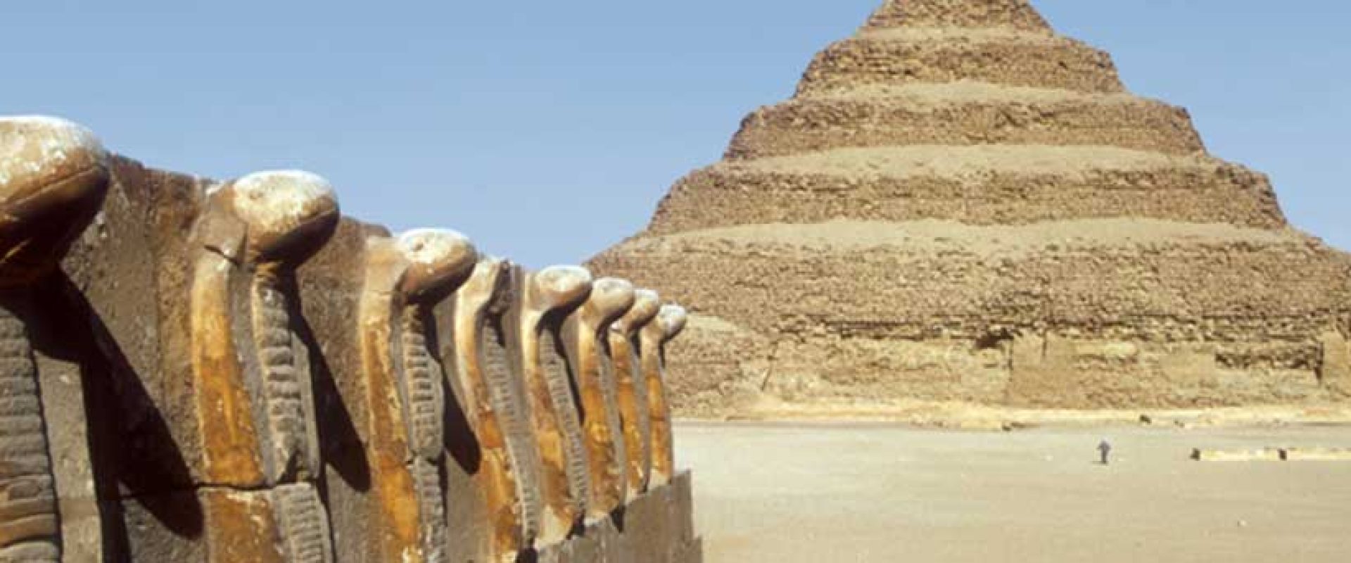 Half Day Mini Safari bannar2