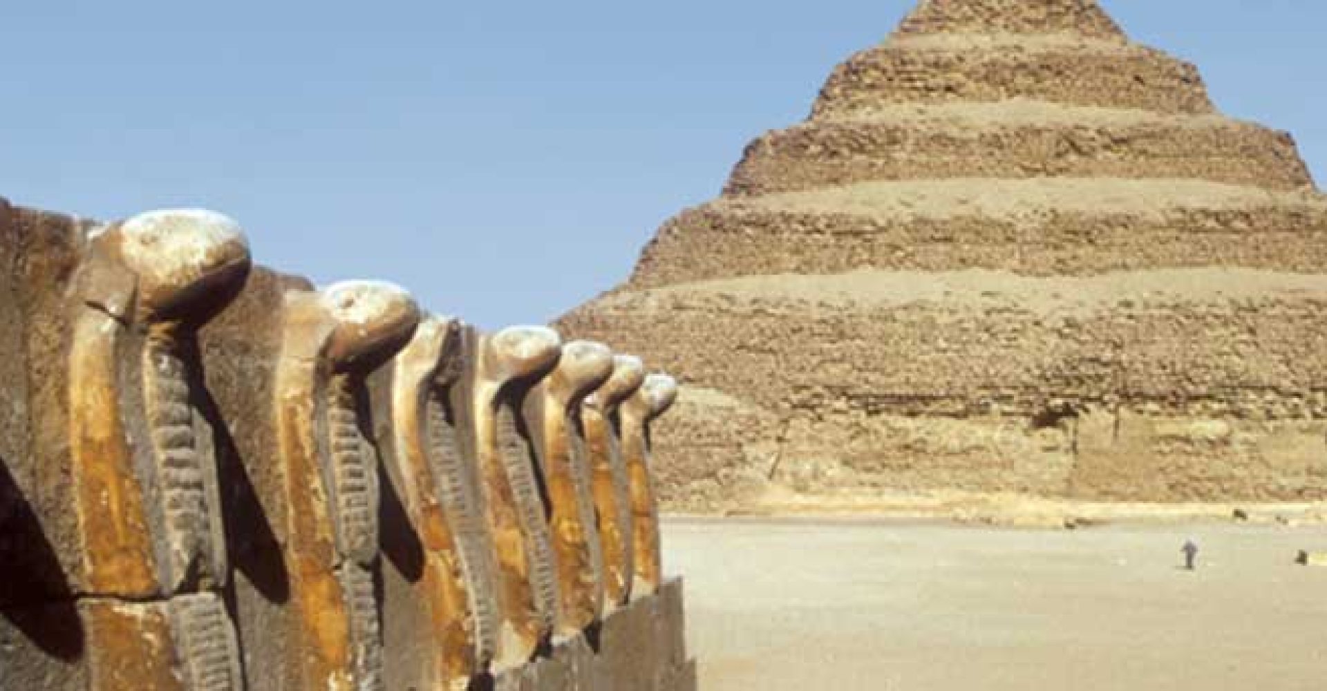 Half Day Mini Safari bannar2