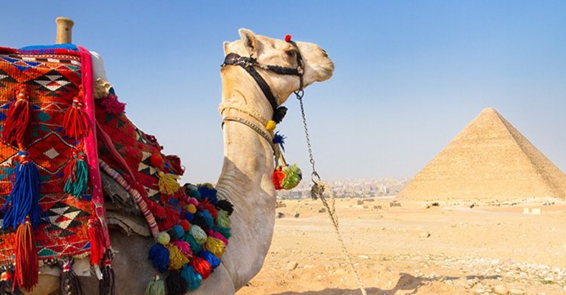 Half Day Visit Pyramids Plateau 2