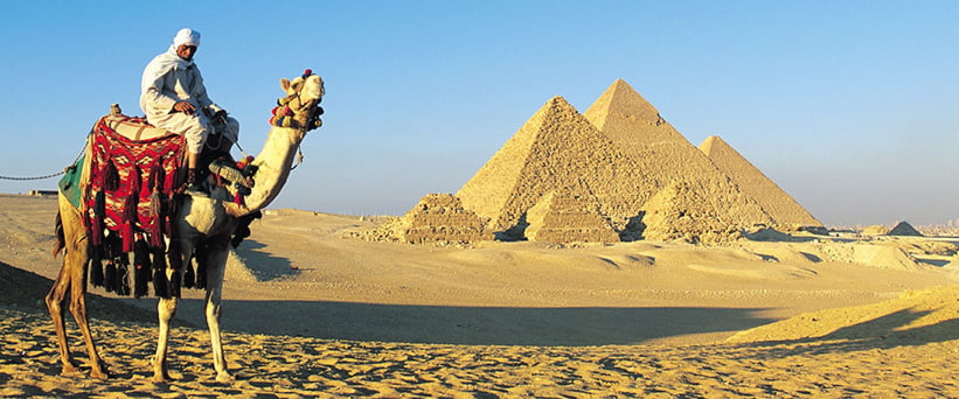 Half Day Visit Pyramids Plateau 4