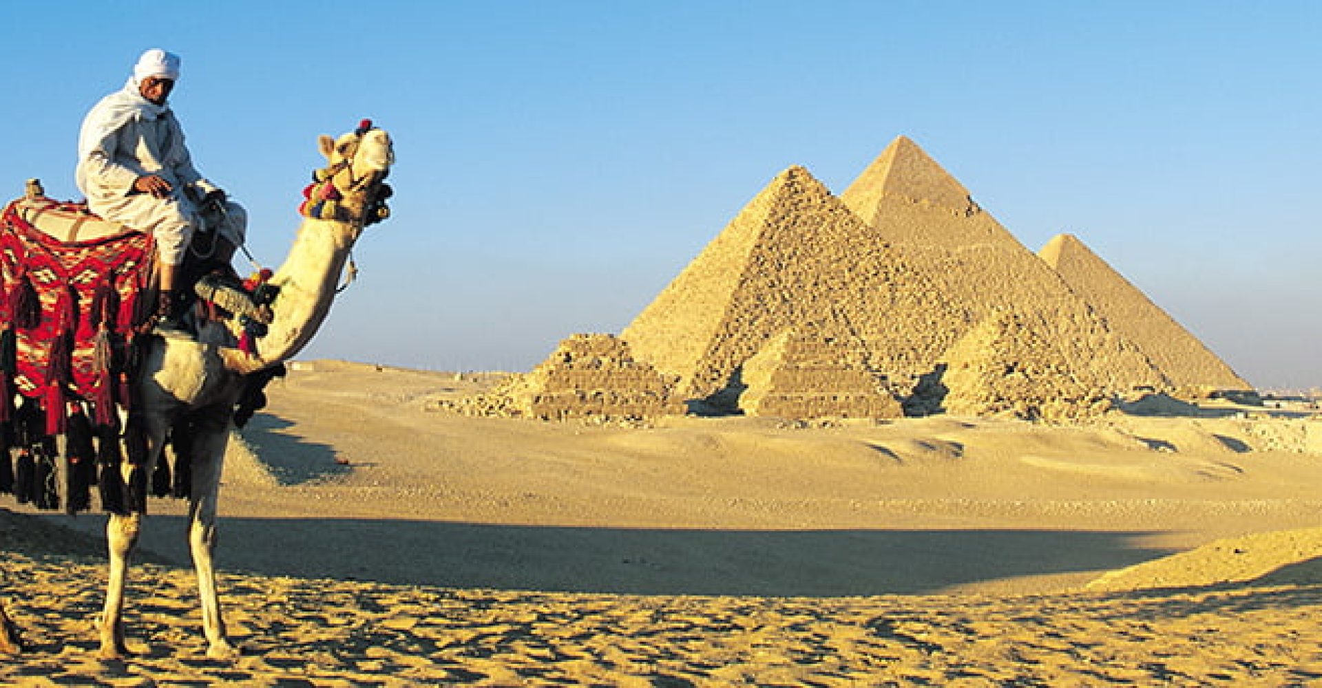 Half Day Visit Pyramids Plateau 4