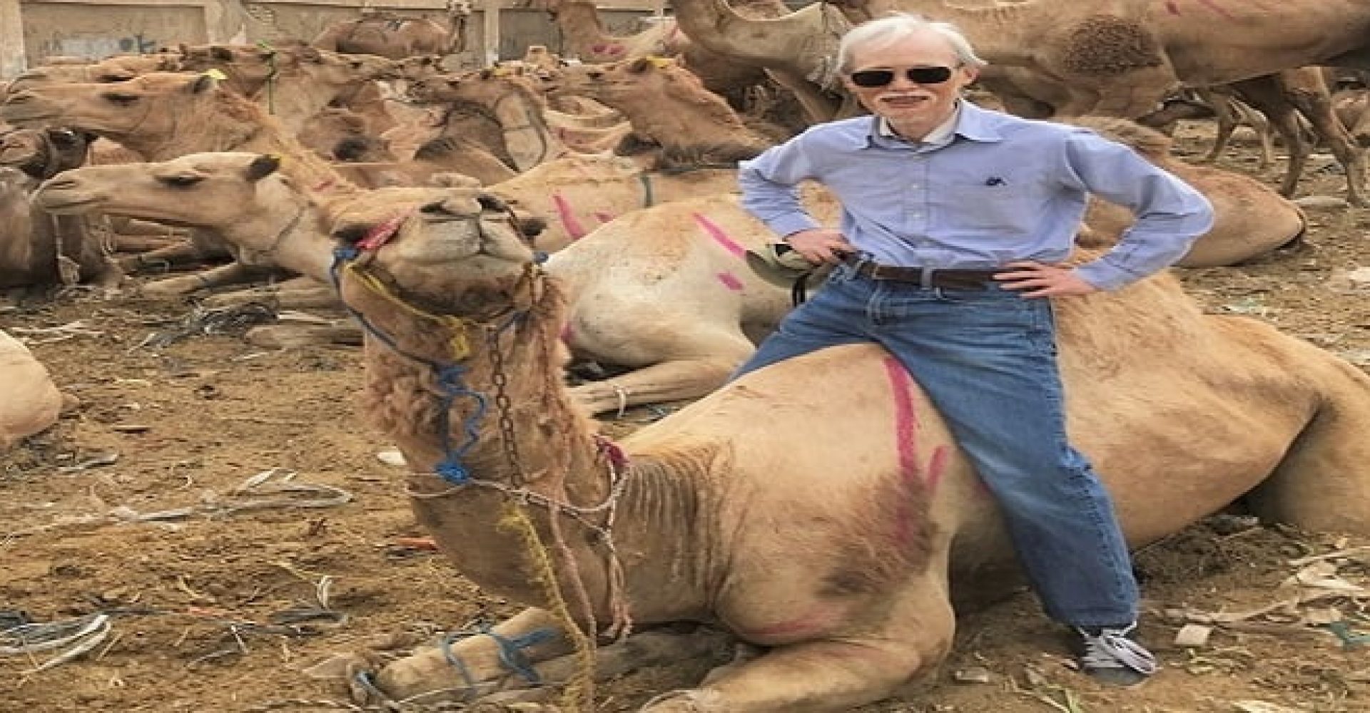 Half Day Visit To Camel Market Of Darau 002