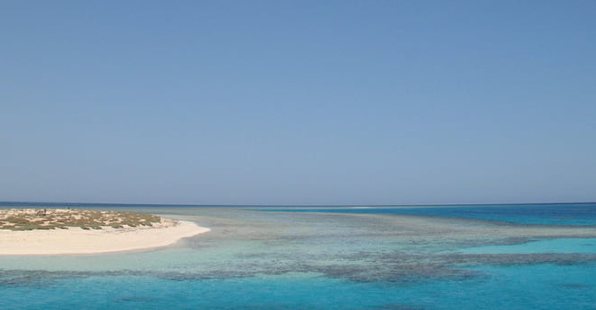 Hamata Snorkeling Trip 4