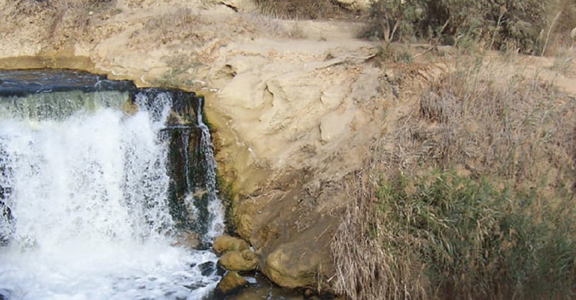 Over Day Visit To Fayoum Oasis And Karoun Lake 4