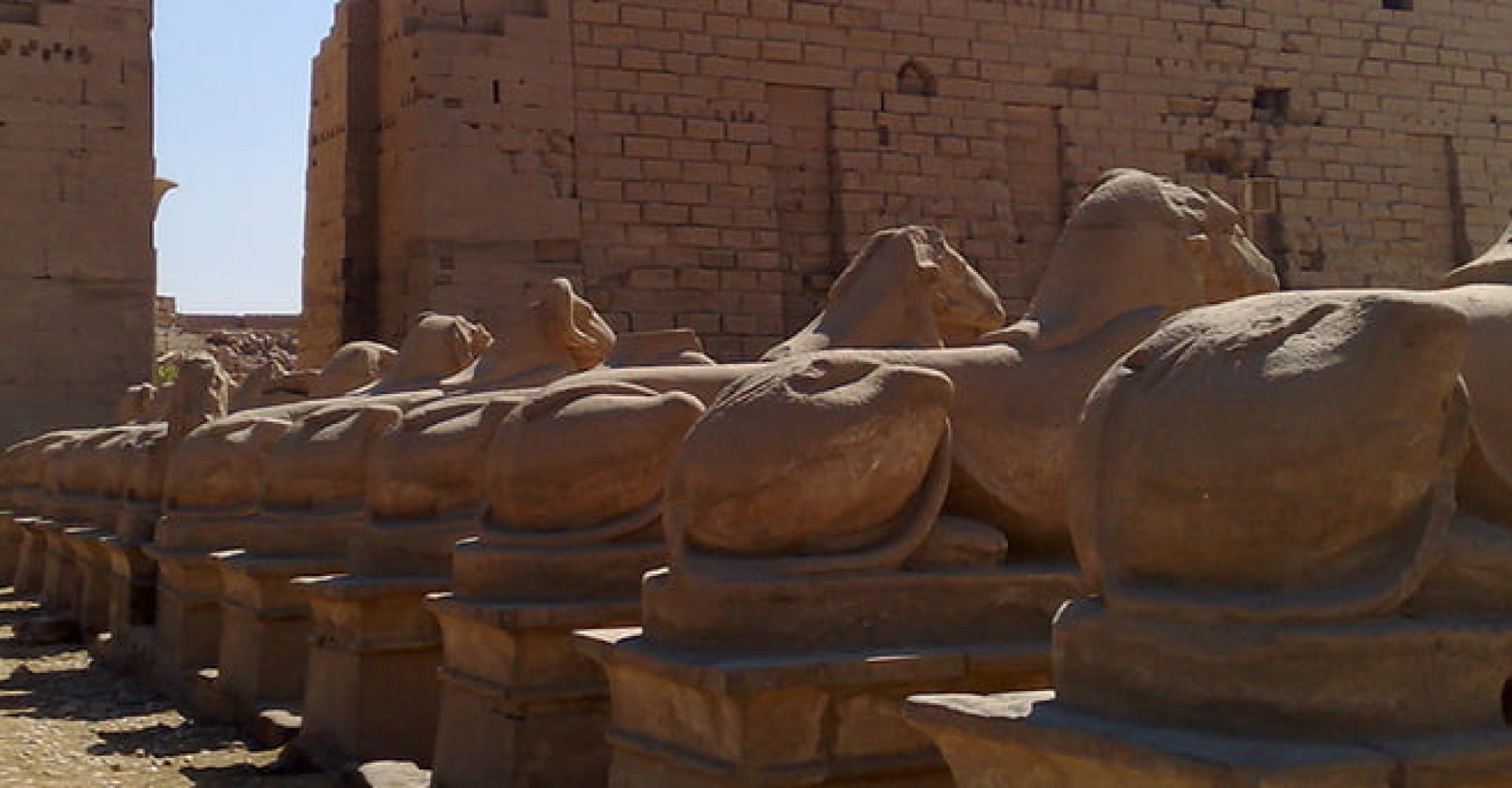 Overday Trip To Luxor By Bus - Deluxe 4