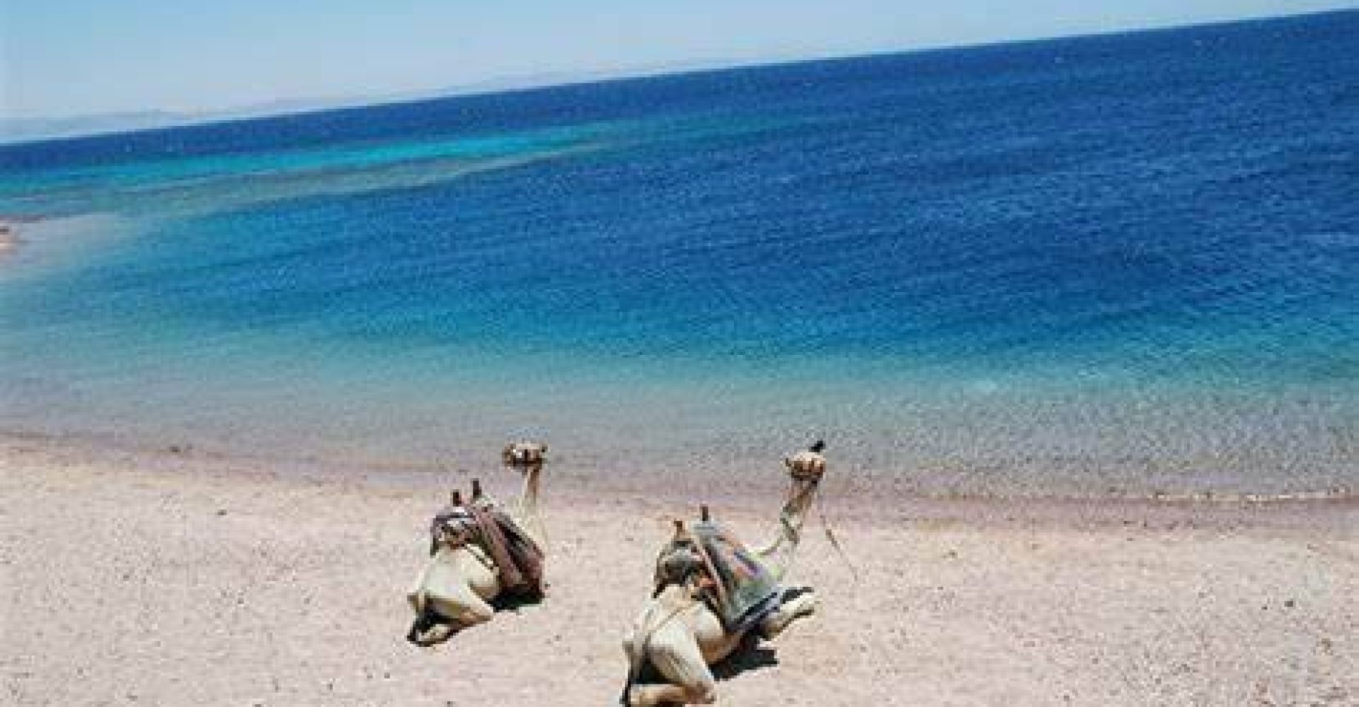 PRIVATE DAY TOUR TO BLUE LAGOON AND RAS ABU GALUM FROM DAHAB 2
