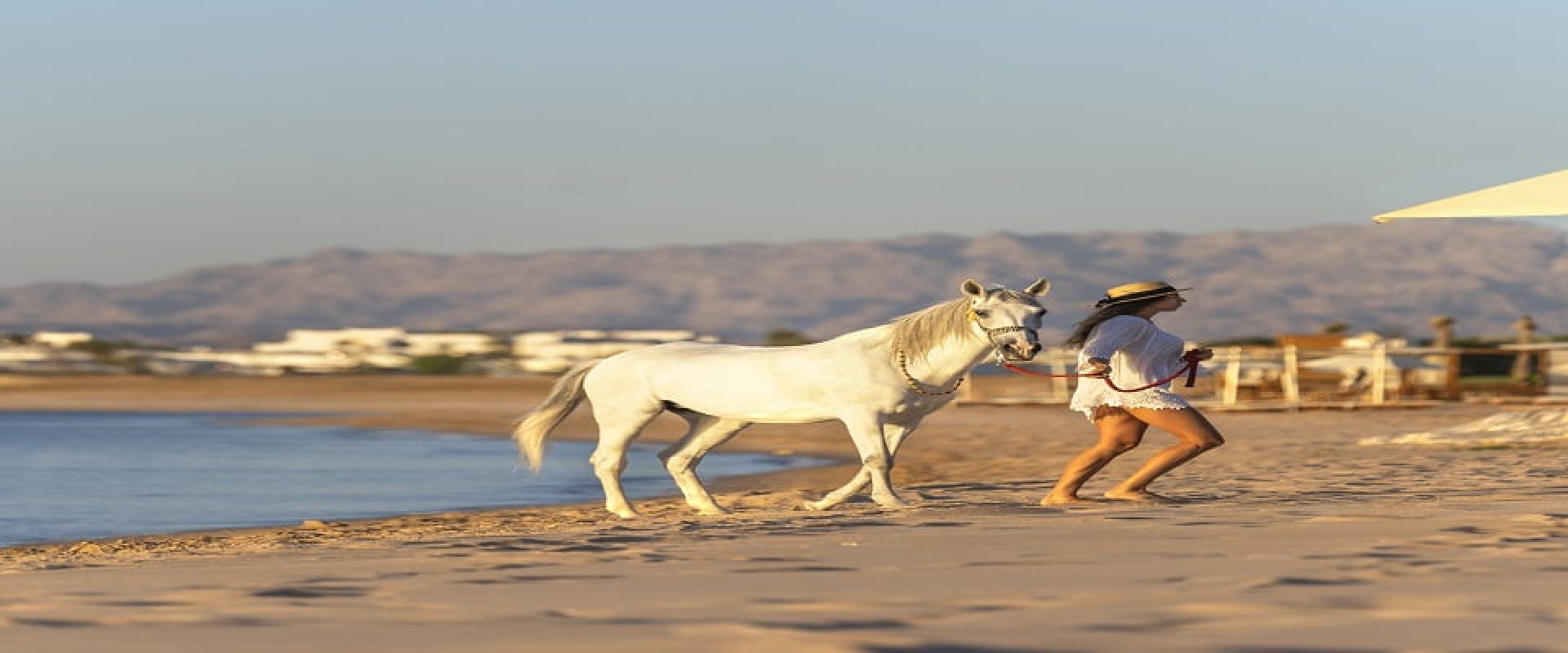 Rixos Premium Magawish (Suites and Villas)HRG 0007