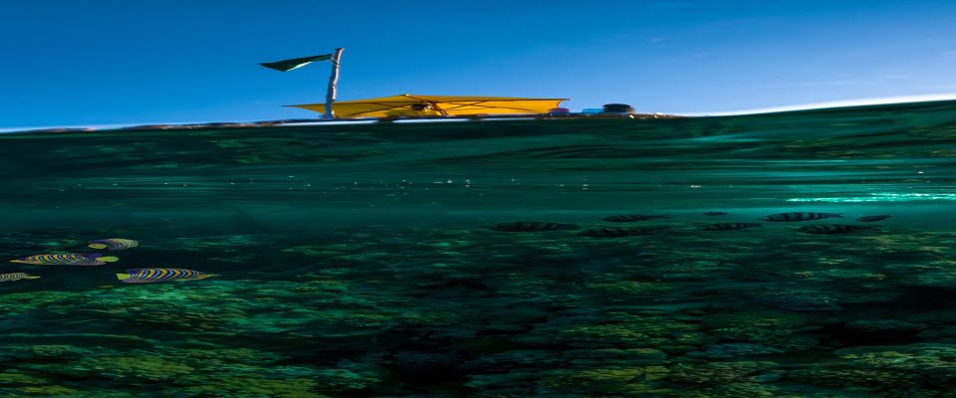 C:DCIM100GOPROGOPR0243.GPR