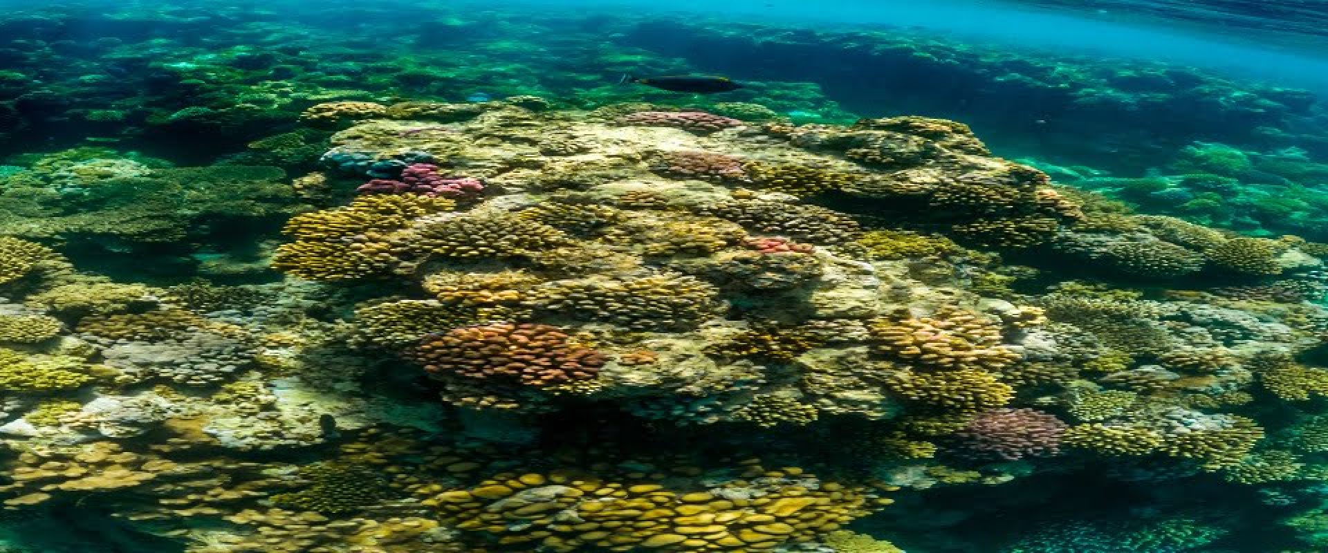 C:DCIM100GOPROGOPR0352.GPR