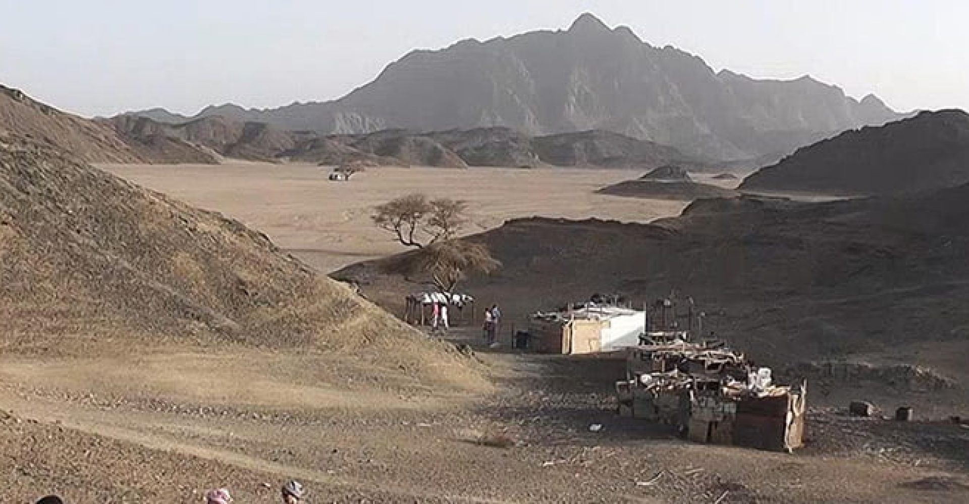 Safari & Snorkeling Adventure 4