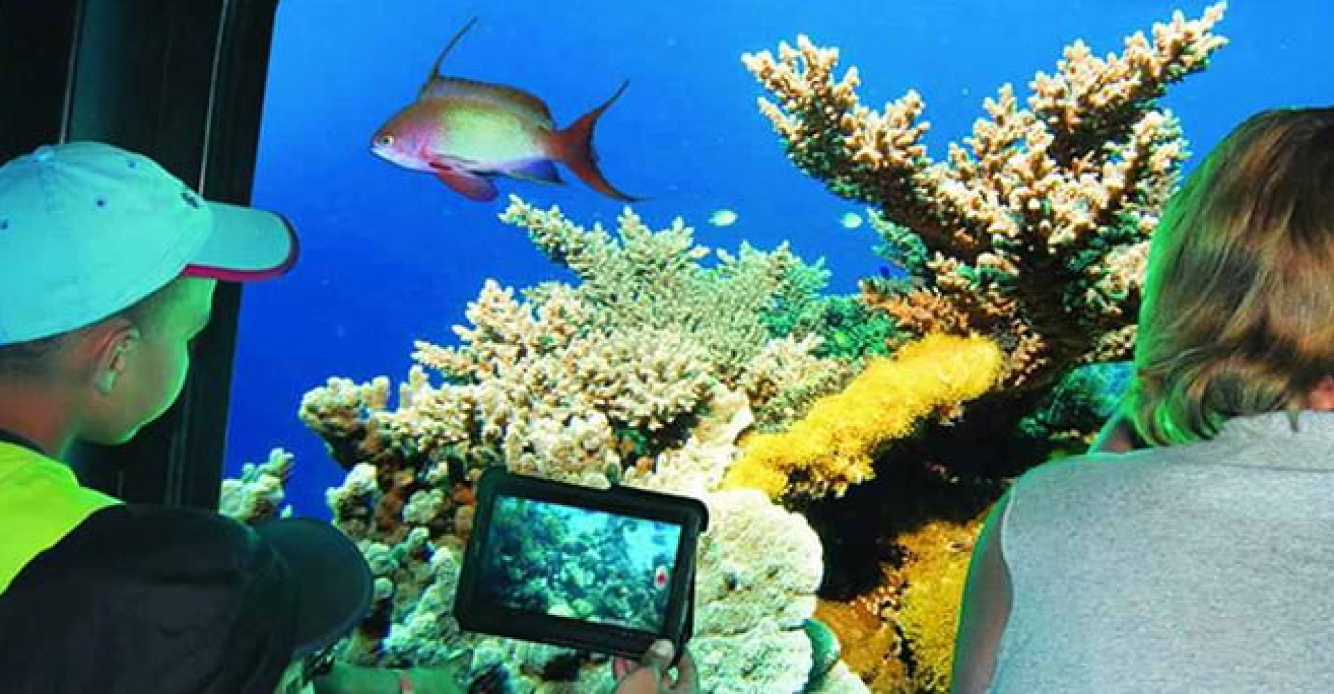 SeaScope - Port Ghalib 2