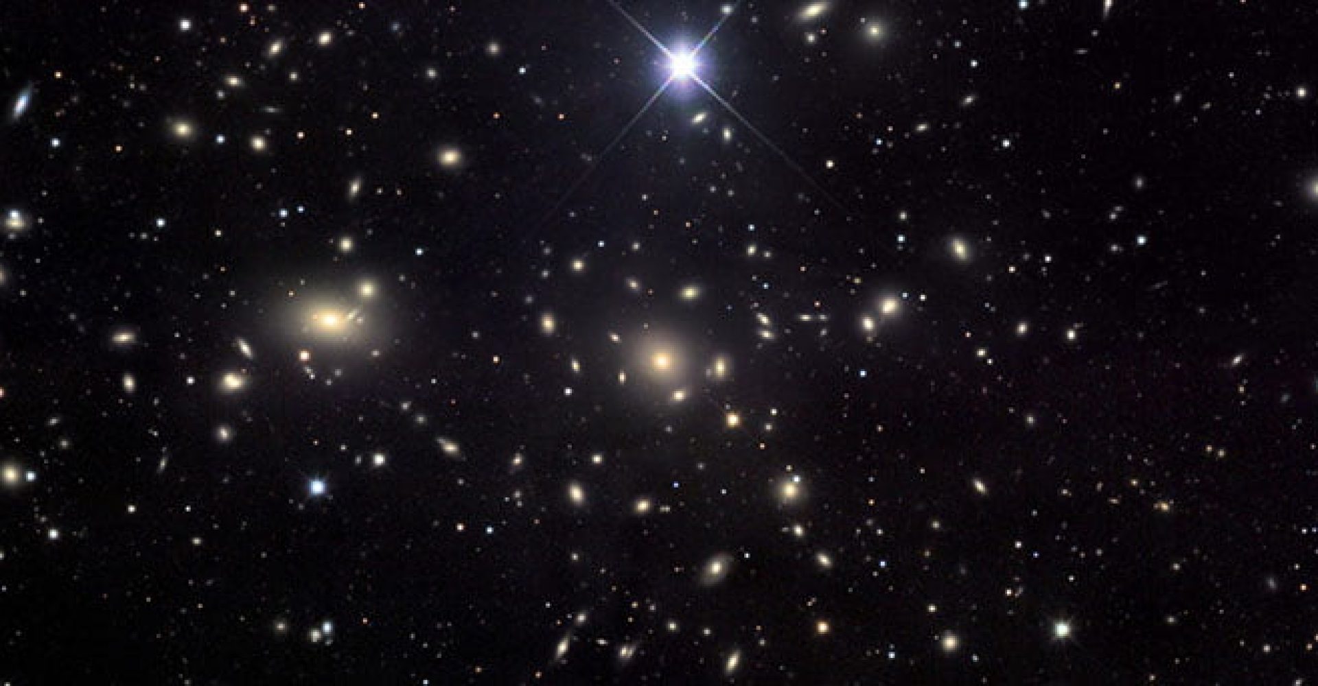 Star Watching, Camel ride and Dinner at Wadi Mandar 1