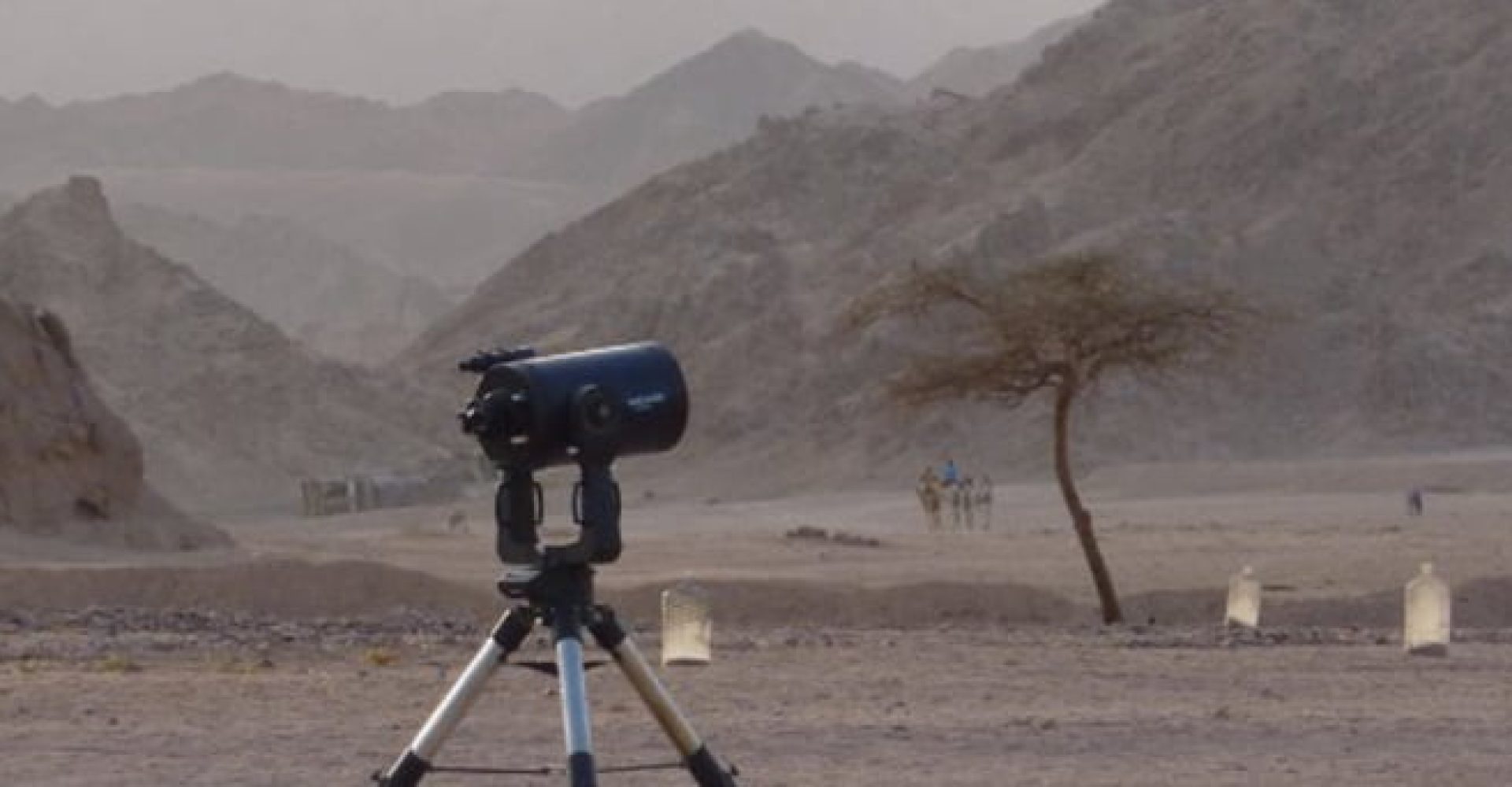 Star Watching, Camel ride and Dinner at Wadi Mandar 2