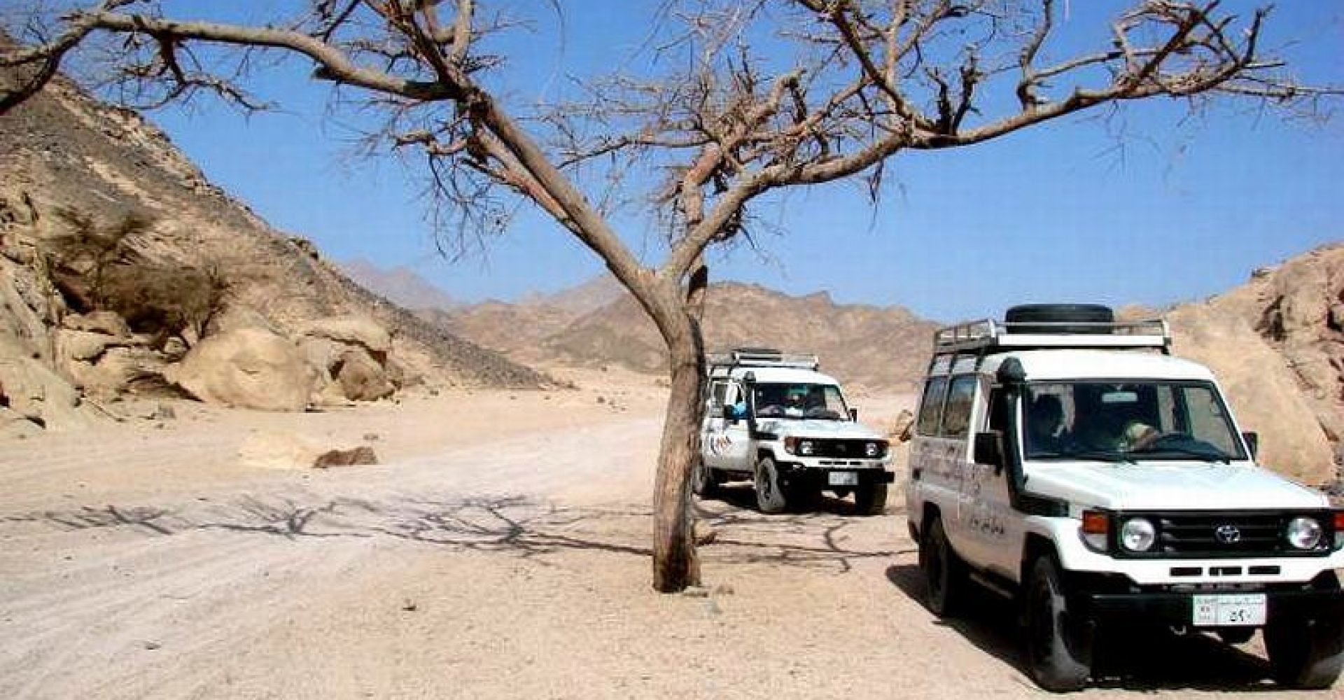 Stars In The Desert jeep 1