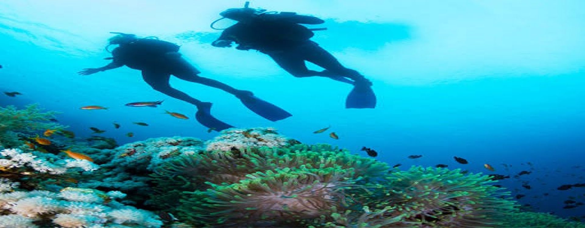 Stella_Di_Mare_Beach_Hotel_and_Spa_Sharm_El_Sheikh_Diving001