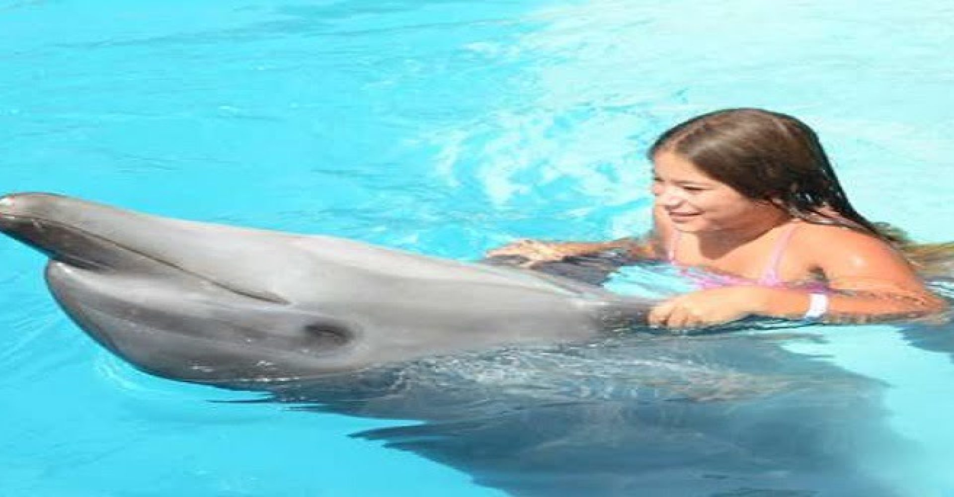 Swim with dolphin 1