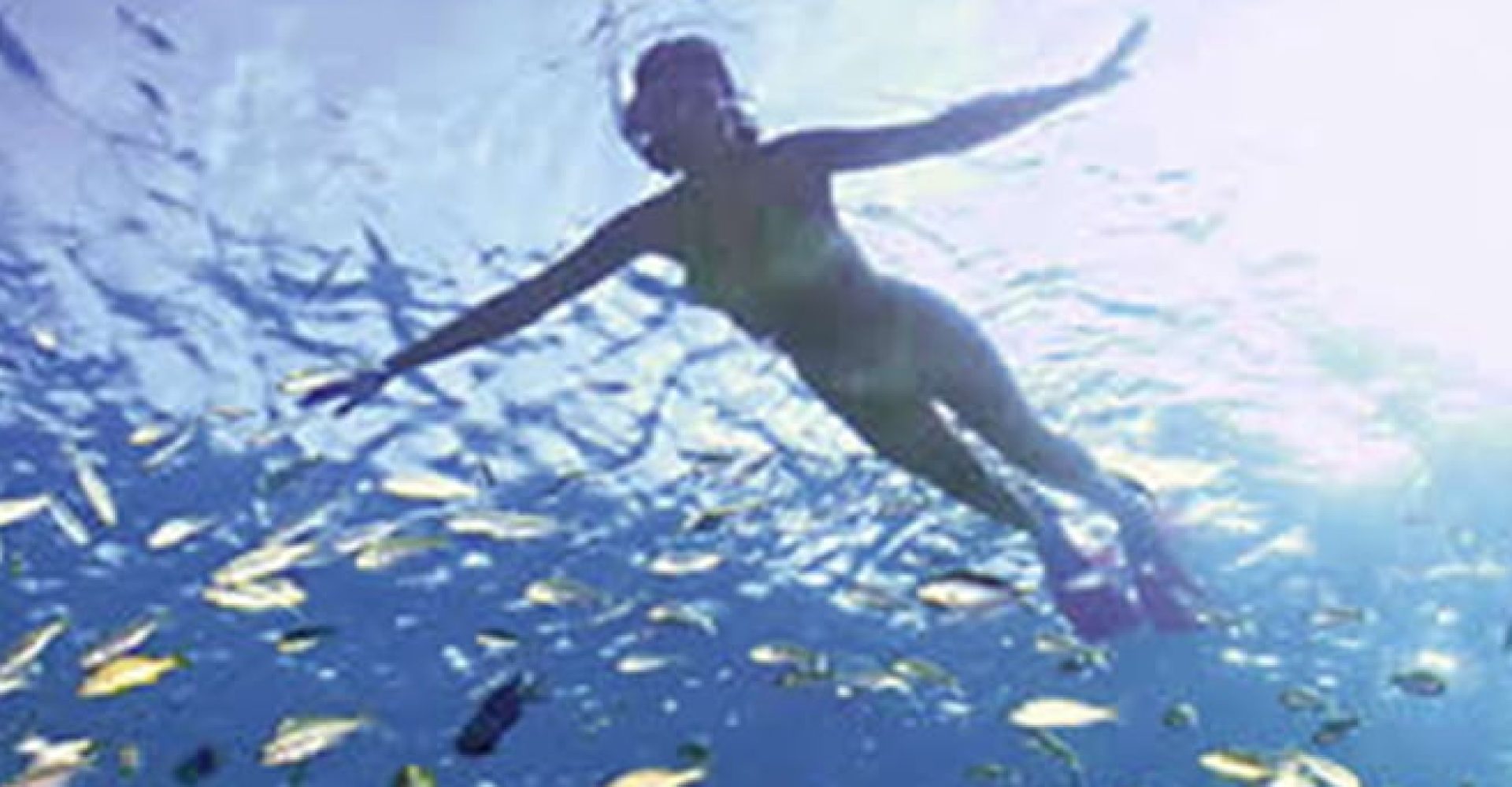 VIP Cruise to Ras Mohamed 3