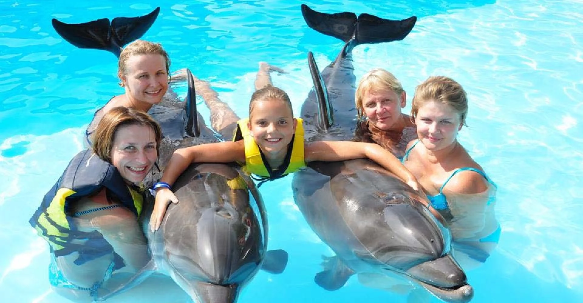 swim-with-dolphins-activity-sharm